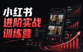 小红书进阶实战训练营