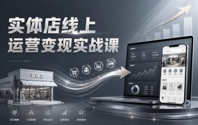 实体店线上运营变现实战课