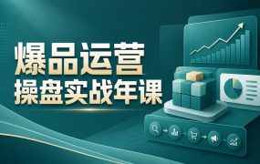 爆品运营操盘实战年课