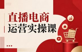 直播电商运营实操课